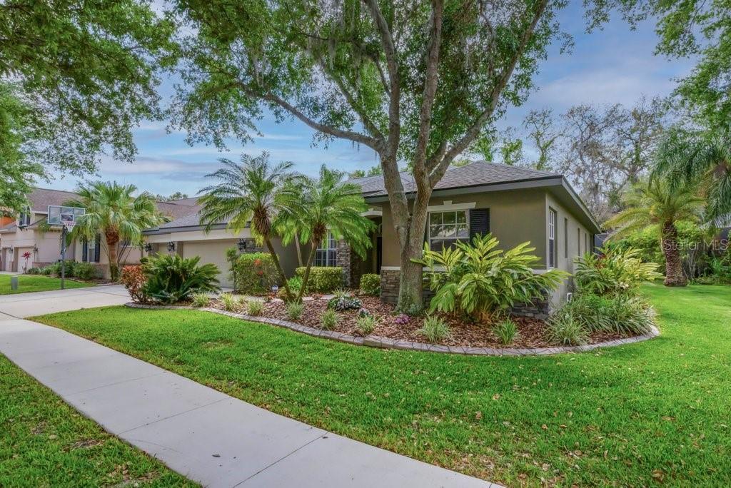 6205 IBISPARK DRIVE