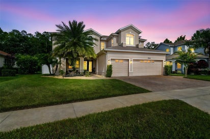 8542 EAGLE BROOK DRIVE LAND O LAKES FL 34638