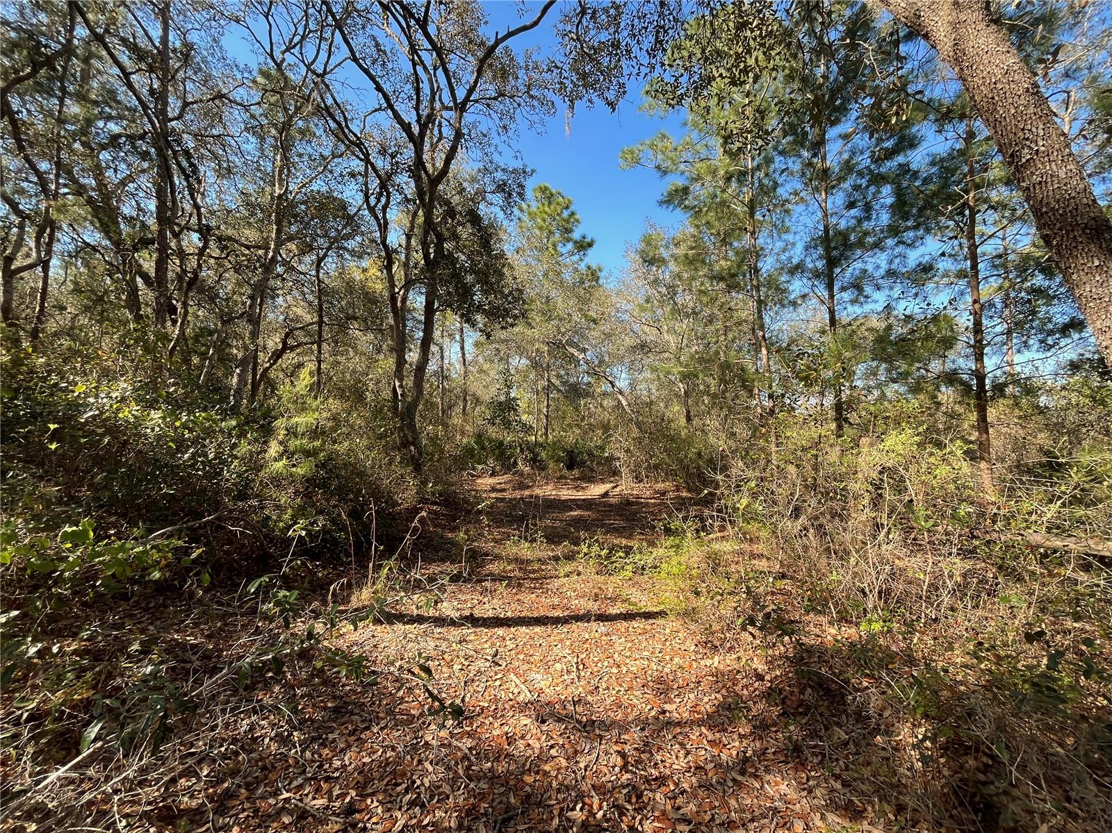 SECLUDED .31 ACRES ON SUGARBOWL LAKE. Private, secluded and tucked away from all the hustle and bustle of life. Electric up to property. Located minutes from public boat ramps and restaurants, Crescent Lake, Lake George, Dunns Creek, Palatka and the St. John's River. Less than an hour to Ormond Beach and Palm Coast. One hour to World Famous Daytona Beach, Historic St. Augustine, Daytona State College, Stetson University, outlets, famous restaurants and more. Between 1-2 hours to Jacksonville, Orlando, Ocala and many famous attractions. Property is lakefront per the county but there is a fence going around the lake. The county said they do not know why the fence is there and it is being looked into. For any questions, please call Mark Holder at the Putnam County Property Appraisers Office.