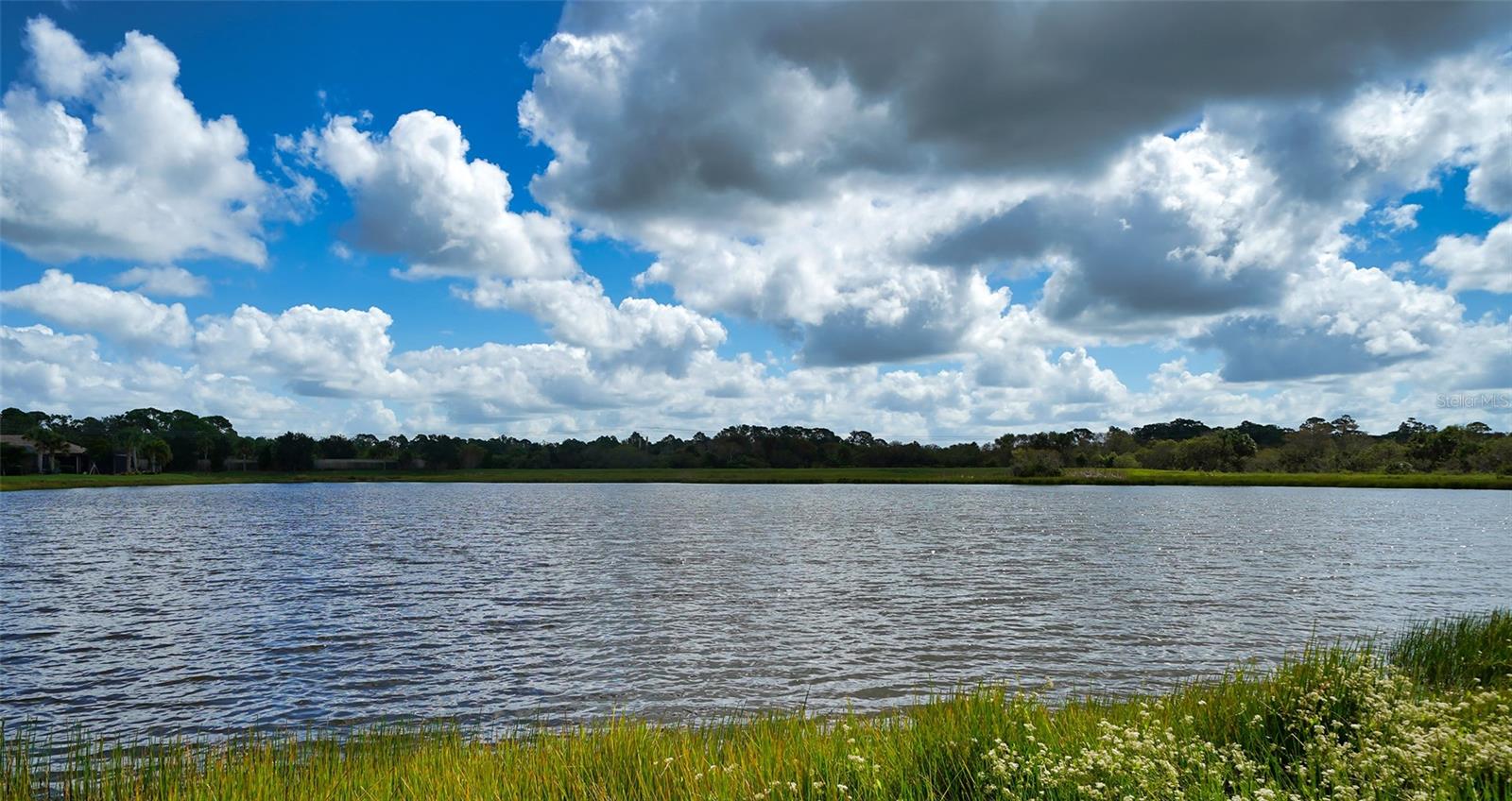 SANDHILL PRESERVE - Residential