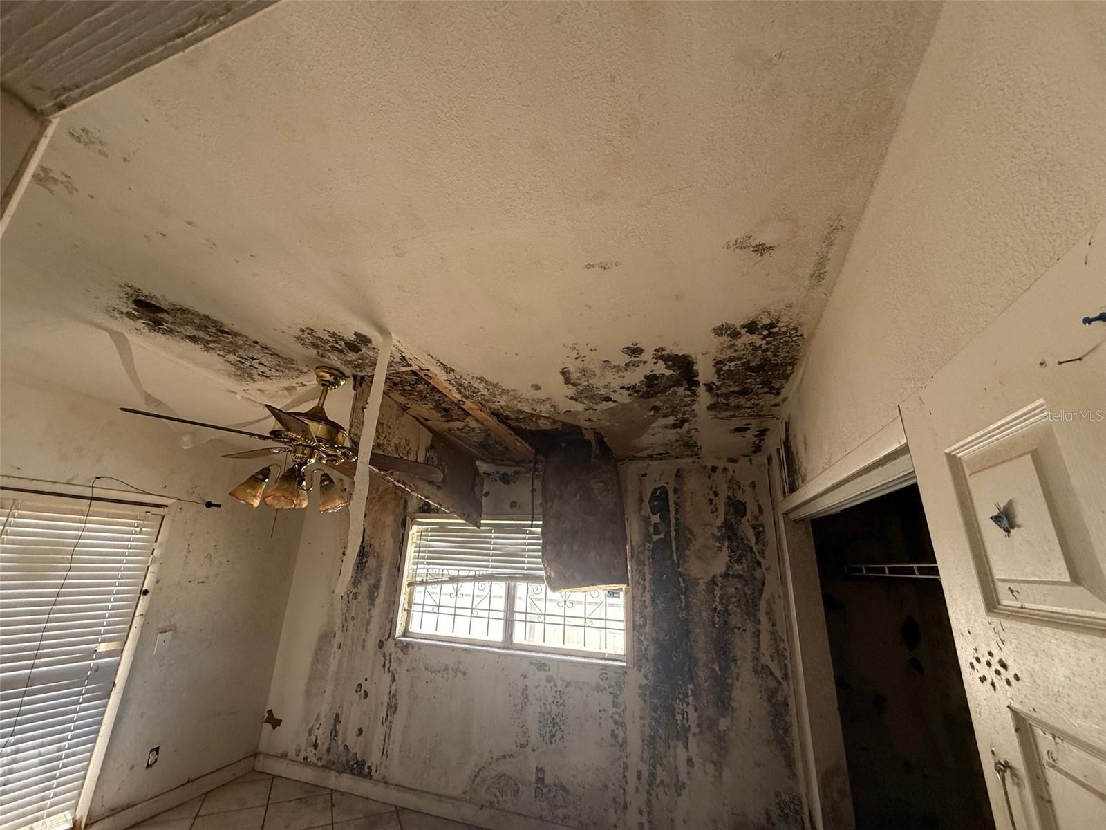 WASHINGTON PARK SEC 01 - Residential