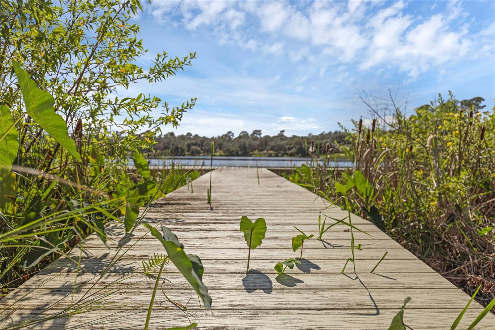 SILVER SPRINGS SHORES - Residential