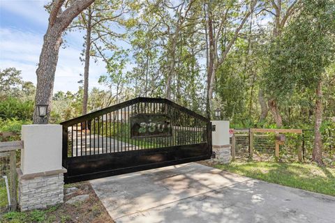 230 FISHER RUN OCKLAWAHA FL 32179