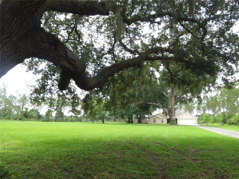 Photo of 36426 Tanner Lane, Eustis, FL 32736 (MLS # O6343673)