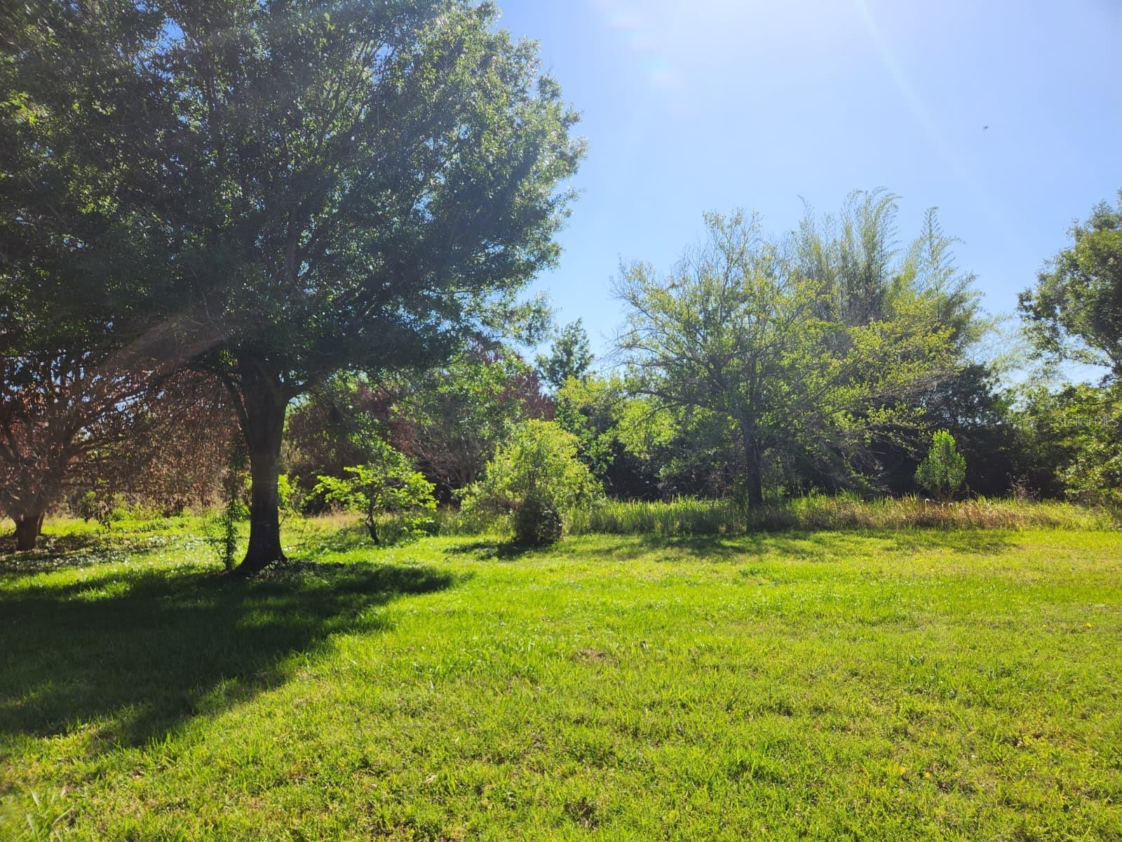 3898 & 3910 W WASHINGTON STREET