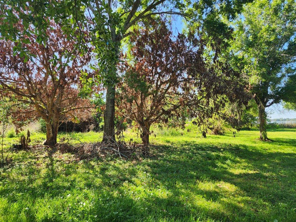 Photo of 3898 W Washington Street, Orlando, FL 32805 (MLS # O6402103)