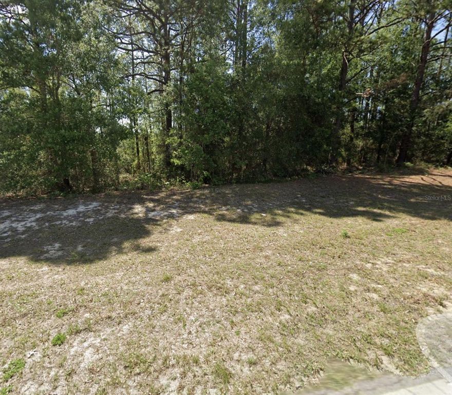 Welcome to Citrus Springs—one of the fastest-growing and most desirable communities in Citrus County! This spacious 0.33-acre lot offers the perfect canvas for your next dream home or investment property. With no HOA, no deed restrictions, and paved road access, the possibilities are endless.

Nestled in a peaceful area surrounded by new construction homes, this lot provides the best of both worlds: a quiet residential setting and easy access to all amenities. You’ll be just minutes from local schools, shopping, restaurants, medical centers, and outdoor recreation—including the Withlacoochee State Trail, Crystal River, and Rainbow Springs State Park.

-0.33-acre corner lot—plenty of room for a pool, workshop, or garden
-Conveniently located near Hwy 41 & 491 for quick commutes
-Power and water available nearby (verify with county)
-Peaceful neighborhood with growing new homes and family appeal
-No HOA fees or time limits to build

Whether you’re a builder, investor, or future homeowner, this lot is an affordable and smart buy in one of Central Florida’s hidden gems. Build today or hold for the future—either way, you’re investing in potential and peace of mind.