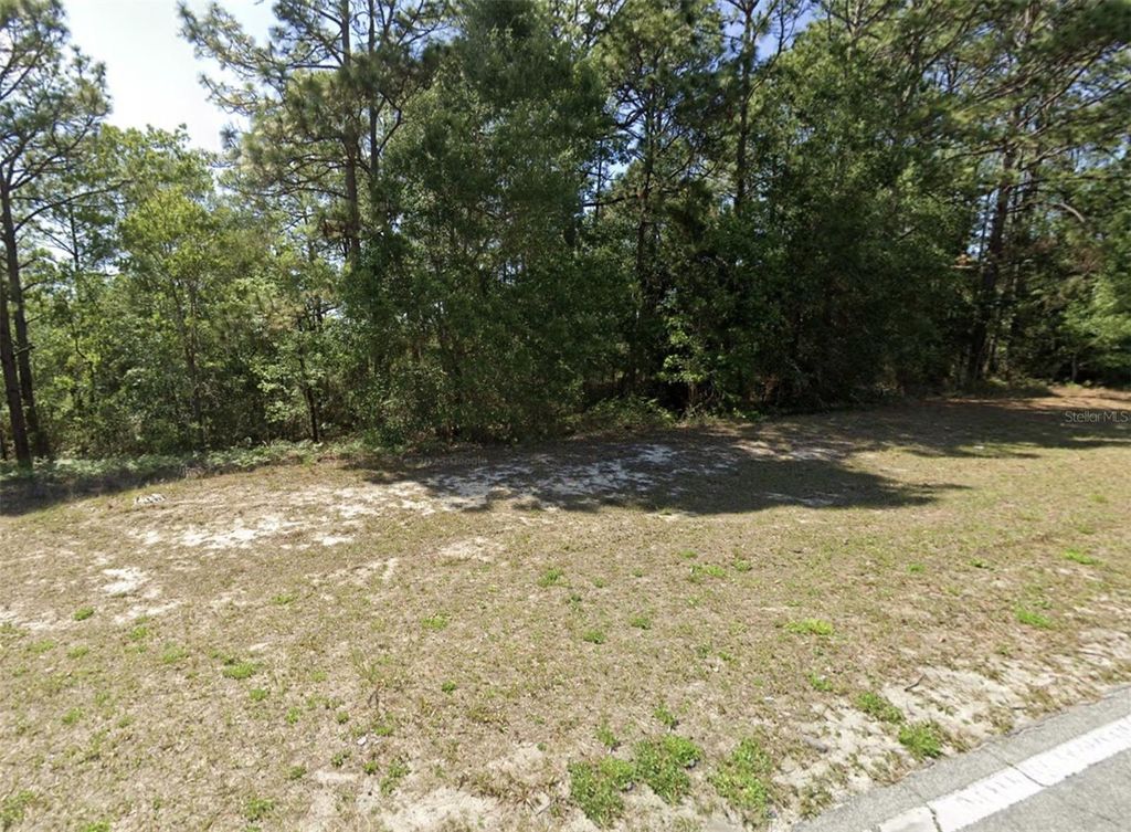 Photo of 7868 N Elkcam Blvd, Citrus Springs, FL 34433 (MLS # OM711325)