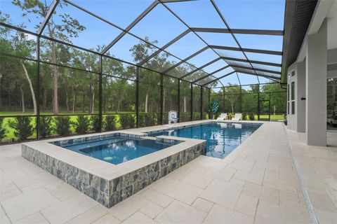 Tiny photo for 1825 W Oak Valley Court, Homosassa, FL 34446 (MLS # OM707224)