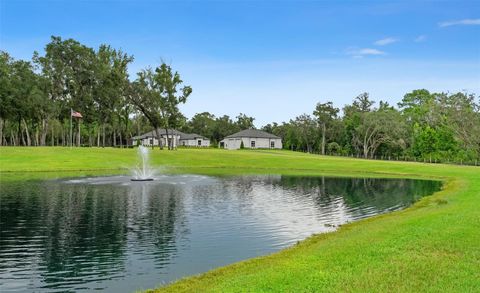 Tiny photo for 1825 W Oak Valley Court, Homosassa, FL 34446 (MLS # OM707224)