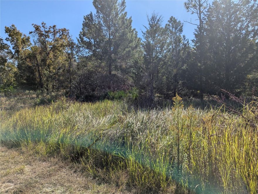 Build your dream home on this beautiful oversized lot on a well established neighborhood.  This lot is  close to Oak Hill Hospital, Weeki Wachee State Park, Weeki Wachee River, All major box stores and chain restaurants within 15 minutes. You name ... this lot has with the exception of you to build your dream home.... Want more space?  The lot right next to this one is also available. Bring your chickens and live your dream..

The MLS number for the other lot for sale is   TB8448733