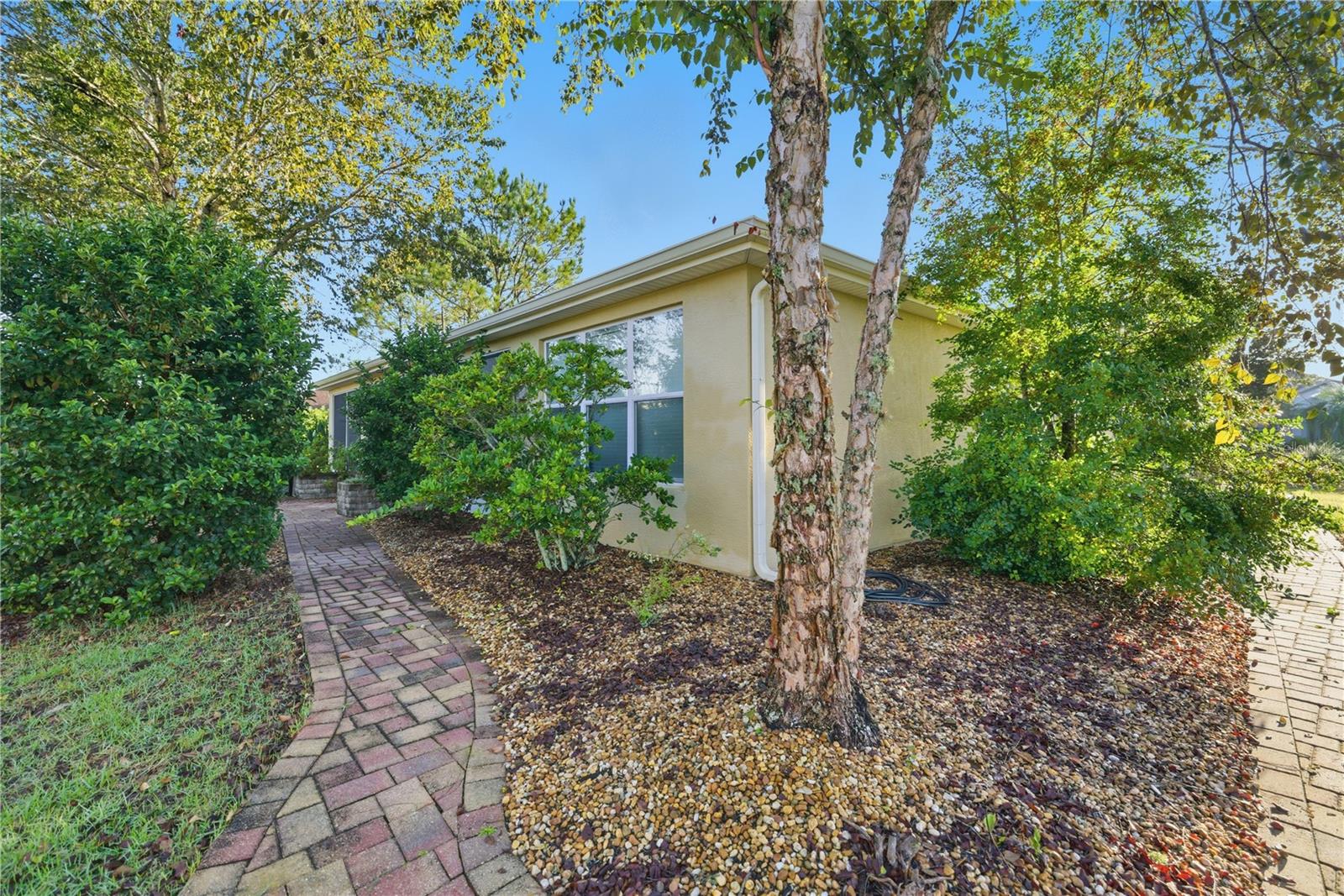 STONE CREEK BY DEL WEBB-LONGLEAF - Residential