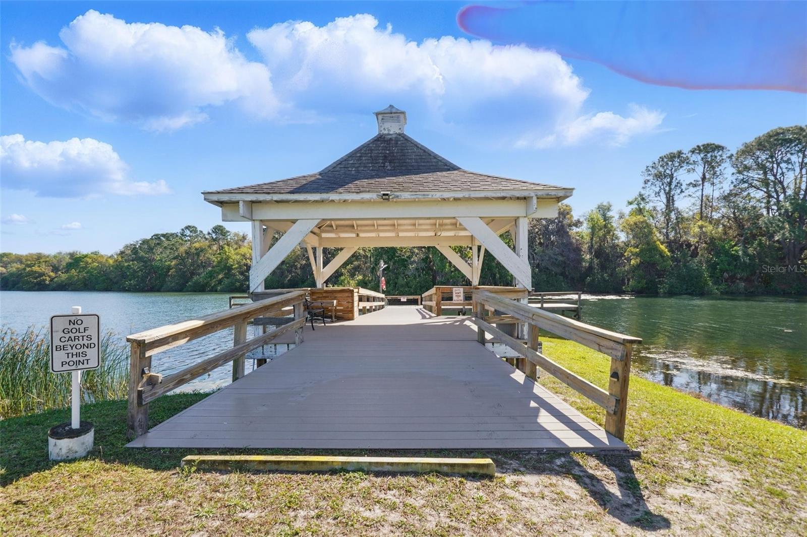 TAVARES LAKE FRANCES ESTATES - Residential