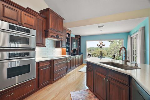 Tiny photo for 809 Northside Drive, Mount Dora, FL 32757 (MLS # G5103479)