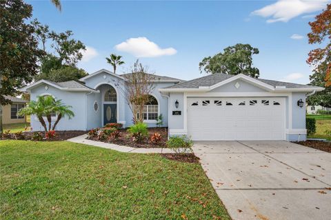 Photo of 14178 Pullman Drive, Spring Hill, FL 34609 (MLS # TB8461727)