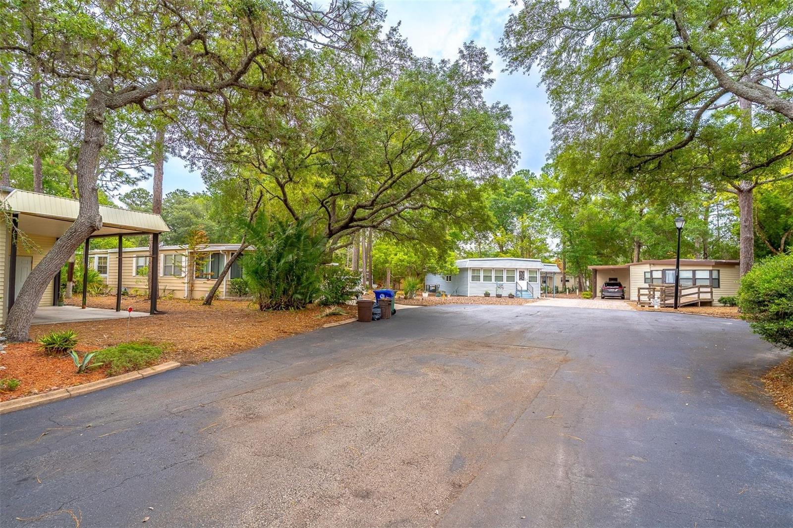 THE FOREST - Residential