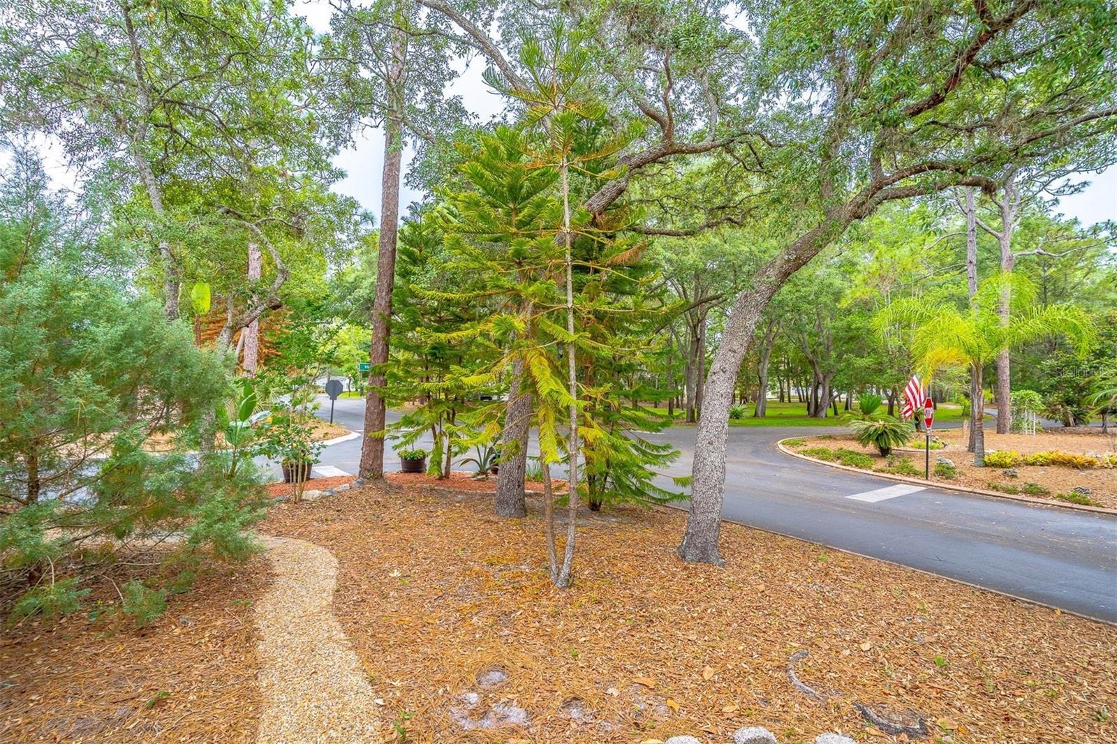 THE FOREST - Residential