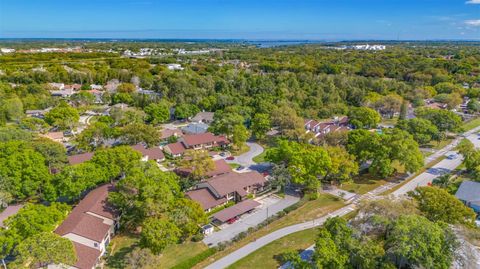 A home in PALM HARBOR