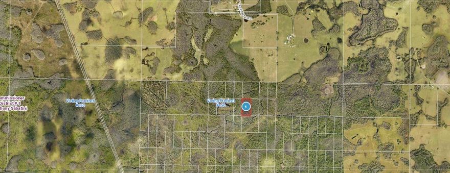 Currently there is no direct access to the land. This is for future investment. "Zoning: A"

Pin Location: Latitude 28.43066038, Longitude -81.89302808

Note: buyers I emphasize the importance of conducting thorough due diligence to ensure that the property meets your expectations and requirements.