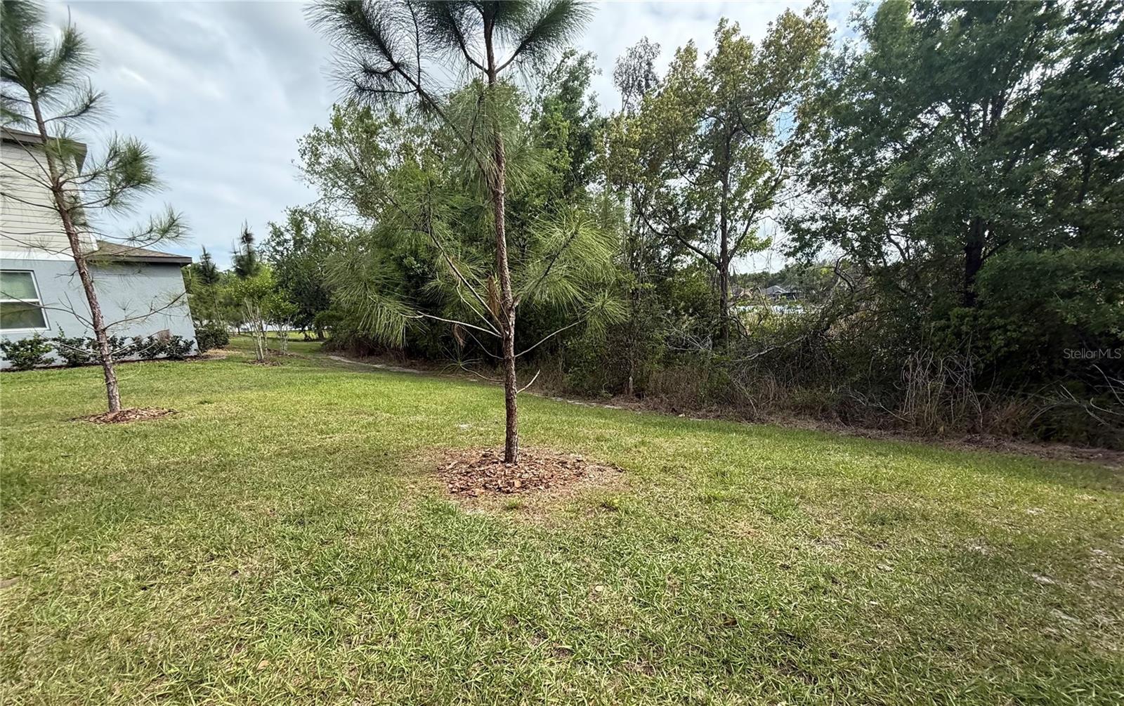 TOWNES/LK THOMAS-PH 2 - Residential