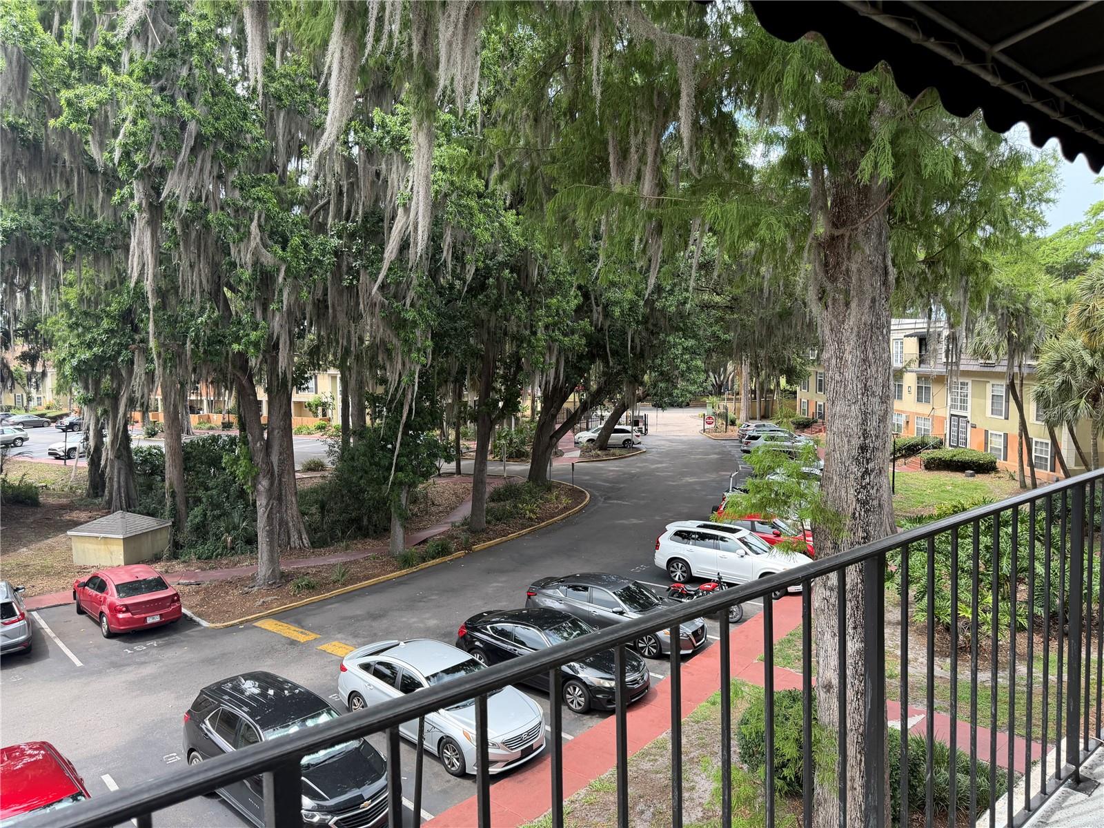 CYPRESS POINTE/LK ORLANDO - Residential