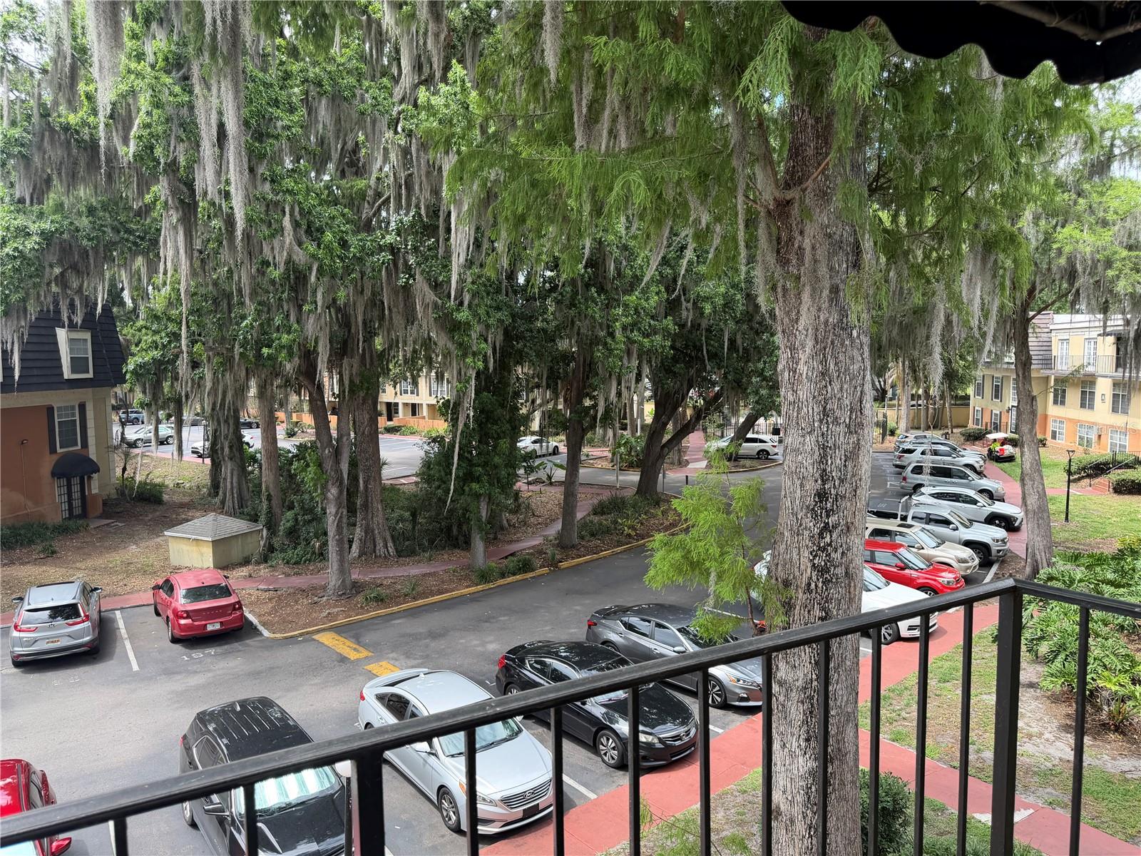 CYPRESS POINTE/LK ORLANDO - Residential