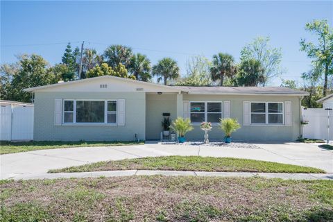 6007 MURRAY HILL DRIVE TAMPA FL 33615