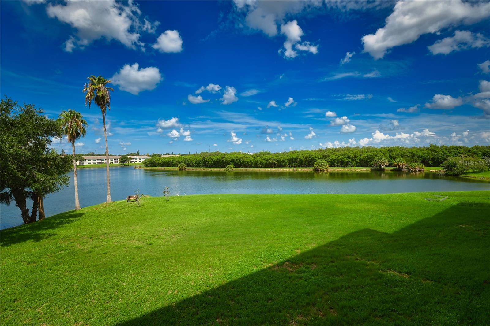 Discover your private sanctuary at the gated Shores of Long Bayou in the City of Seminole (mailing address is St Petersburg). Enjoy tranquil Bayou Sunsets with modern convenience. This stunning 3-bedroom, 2-bathroom first-floor condo? (ground floor being garage & covered parking), offers over 1,500+ square feet of thoughtfully updated living space with breathtaking westward sunset views. Step onto your private balcony each evening to witness spectacular Sunsets over the Bayou all while native birds create nature's soundtrack. Enjoy peaceful walks along the community's exclusive 1-mile private path winding through towering pines around the pristine Bayou - your own personal nature preserve AND you can bike to the Pinellas trail in under 5 minutes from property. $?25K+ in ?updates Since 2022:** The current owners have spared no expense creating the perfect home. New AC system, water heater, kitchen granite countertops, stainless appliances, updated flooring, modern lighting fixtures, custom closet systems, and master bathroom with new shower door. The building roof was replaced in 2023!? Monolithic pour on site; concrete building! HOA ?- PAID BY OWNER Includes cable, high-speed internet, exterior maintenance, pest control, landline, water, reserve savings, clubhouse with fitness room, two pools and more. Your only additional utility is Electric! Prime Location Benefits - 10 minutes to Pinellas County's award-winning beaches - 30 minutes to St. Pete International Airport - 40 minutes to Tampa International Airport - Close to Seminole shopping and dining - Gated community security and privacy - NOT age-restricted ! Oversized garage provides exceptional storage with custom organization systems already installed. This rare combination of location, updates, community amenities, and privacy. Schedule your private showing today to experience the peaceful luxury of Bayou Living!