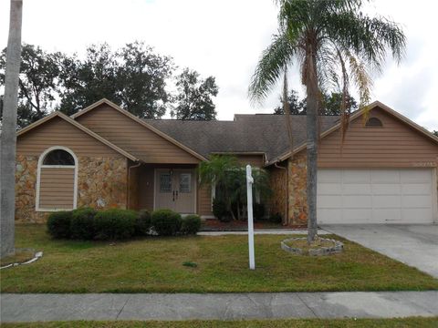 Photo of 4133 Spring Way Circle, Valrico, FL 33596 (MLS # TB8463796)