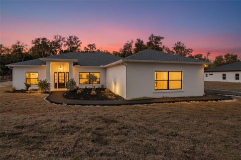 Photo of 34111 August Avenue, Webster, FL 33597 (MLS # W7883707)