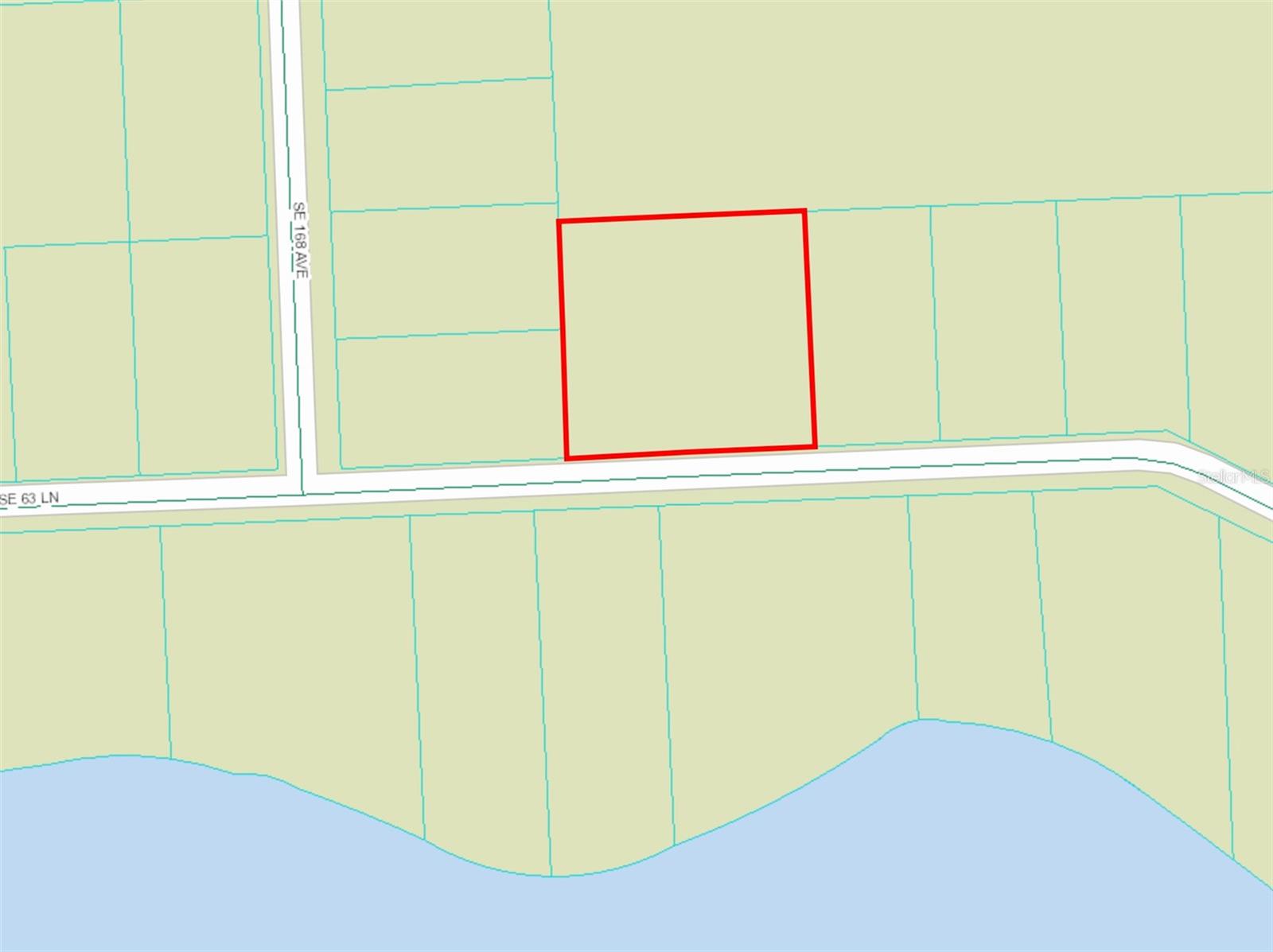 Fractional Ownership. Build your dream home on this .55 acre, high and dry NO flood zone, in the Ocala National Forest close to 100s of lakes, springs and endless trails for all the outdoor activities but still close to town. 20 mins to downtown Ocala and 40 mins to Daytona Beach! Call today to get this great opportunity