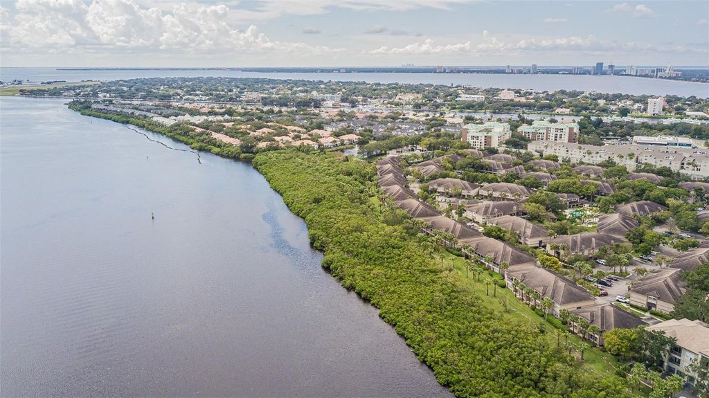 Photo of 895 Normandy Trace Road, Tampa, FL 33602 (MLS # TB8444982)