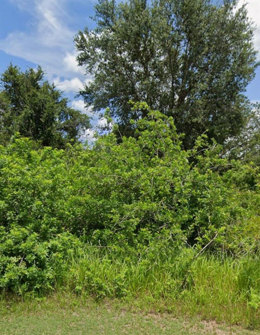 Photo of 1854 Norma Court, Lehigh Acres, FL 33972 (MLS # TB8492612)