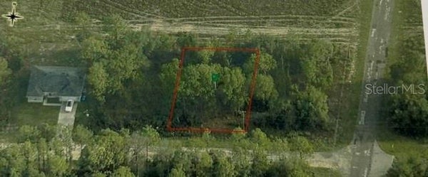 1703 W SKYLINE DR, DUNNELLON, FL 34434 - Image 3413eacd7d72ffd711a00449b2d5a5ea/2569942697