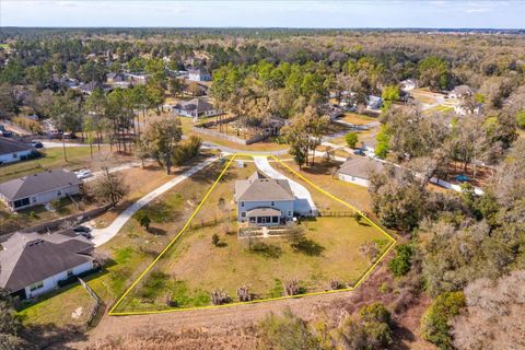 Tiny photo for 30339 Plymouth Creek Circle, Sorrento, FL 32776 (MLS # O6385729)