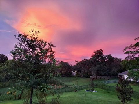 Tiny photo for 30339 Plymouth Creek Circle, Sorrento, FL 32776 (MLS # O6385729)