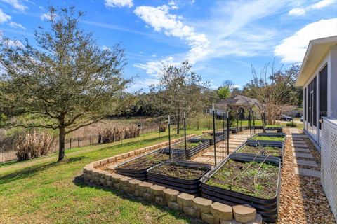 Tiny photo for 30339 Plymouth Creek Circle, Sorrento, FL 32776 (MLS # O6385729)