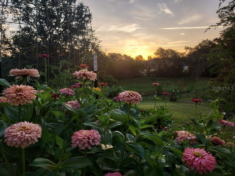 PLYMOUTH CREEK ESTATES - Residential