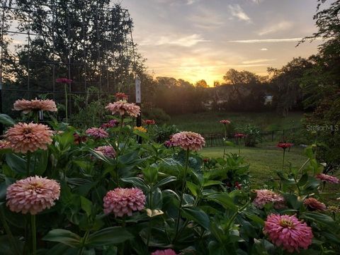 Tiny photo for 30339 Plymouth Creek Circle, Sorrento, FL 32776 (MLS # O6385729)