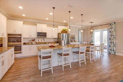 Tiny photo for 30339 Plymouth Creek Circle, Sorrento, FL 32776 (MLS # O6385729)