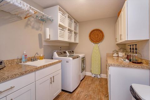 Tiny photo for 30339 Plymouth Creek Circle, Sorrento, FL 32776 (MLS # O6385729)