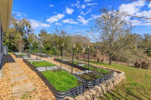 Tiny photo for 30339 Plymouth Creek Circle, Sorrento, FL 32776 (MLS # O6385729)