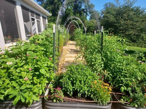 Tiny photo for 30339 Plymouth Creek Circle, Sorrento, FL 32776 (MLS # O6385729)