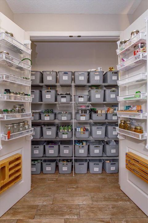 Tiny photo for 30339 Plymouth Creek Circle, Sorrento, FL 32776 (MLS # O6385729)