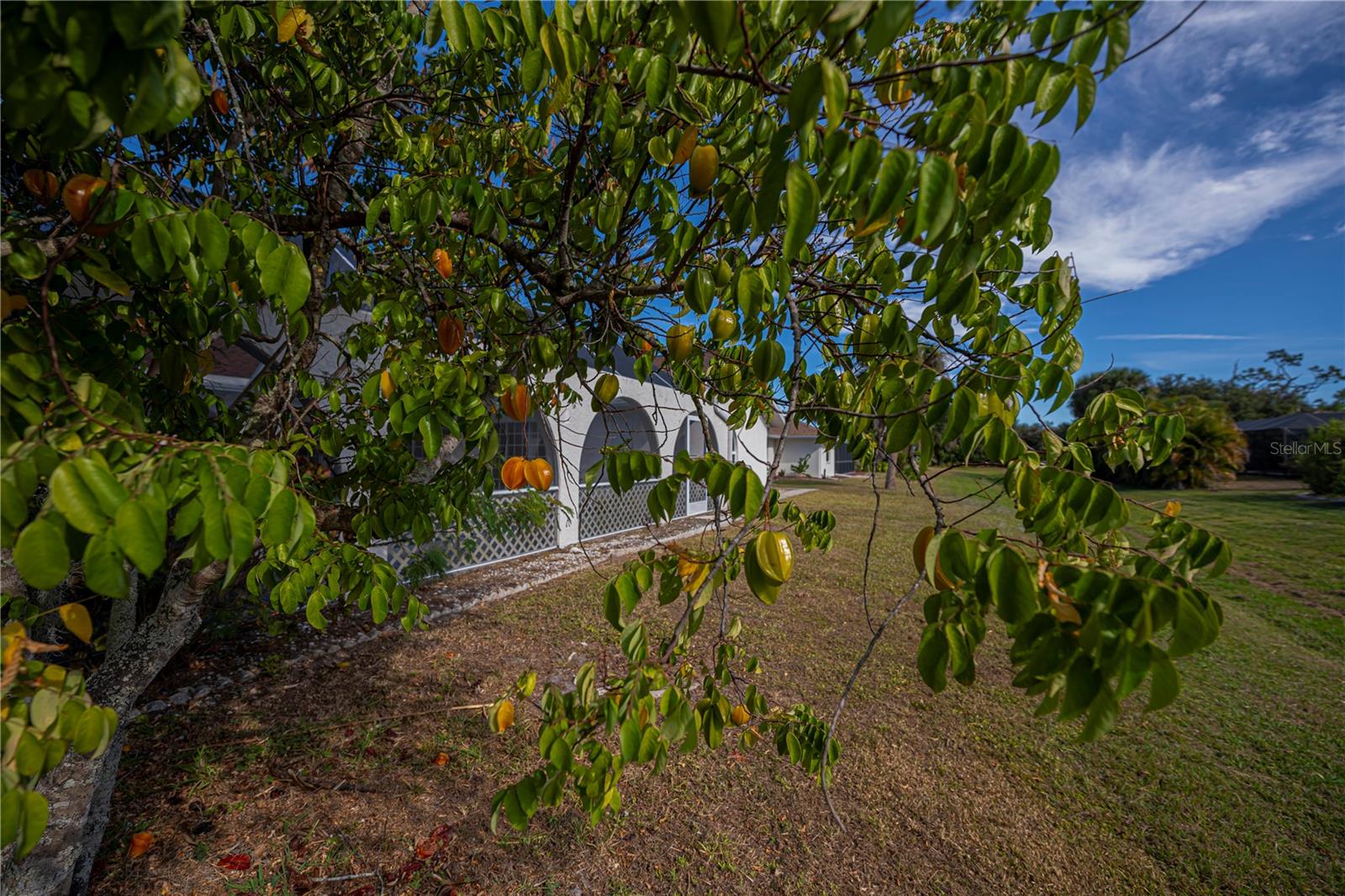 PUNTA GORDA ISLES SEC 20 - Residential