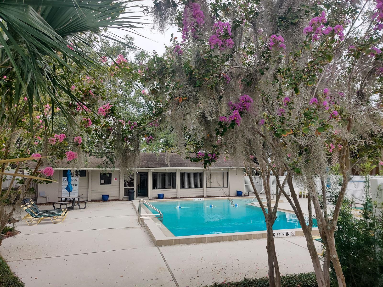 CROWN POINT BY THE SPGS - Residential