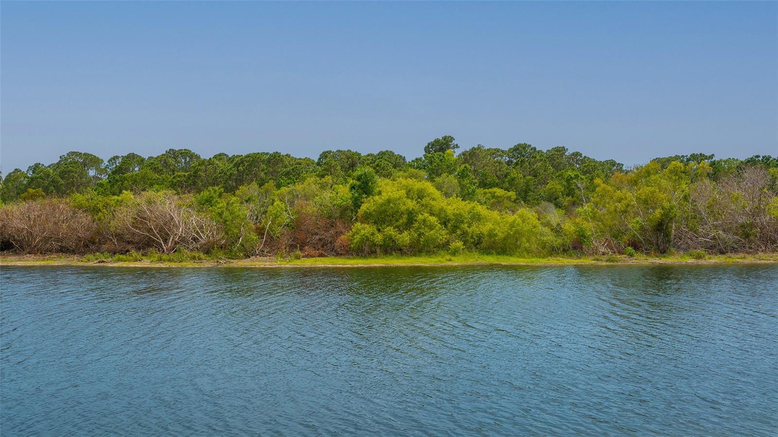 PINESTONE AT PALMER RANCH - Residential Lease
