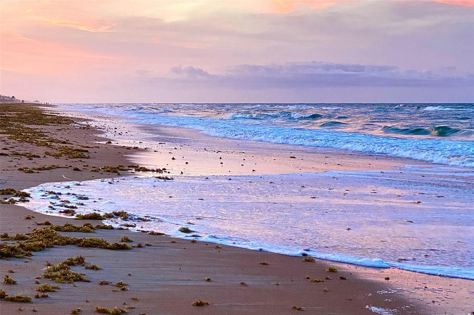 OCEAN BEACH CONDO CLUB II - Residential