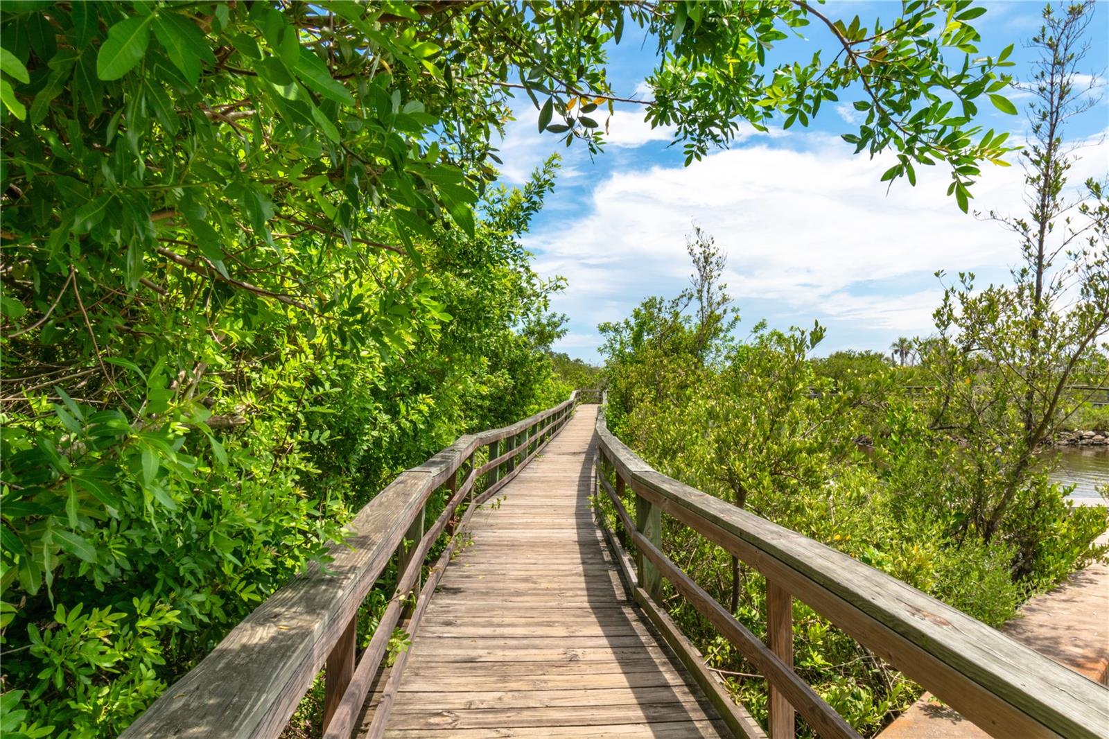 OCEAN BEACH CONDO CLUB II - Residential