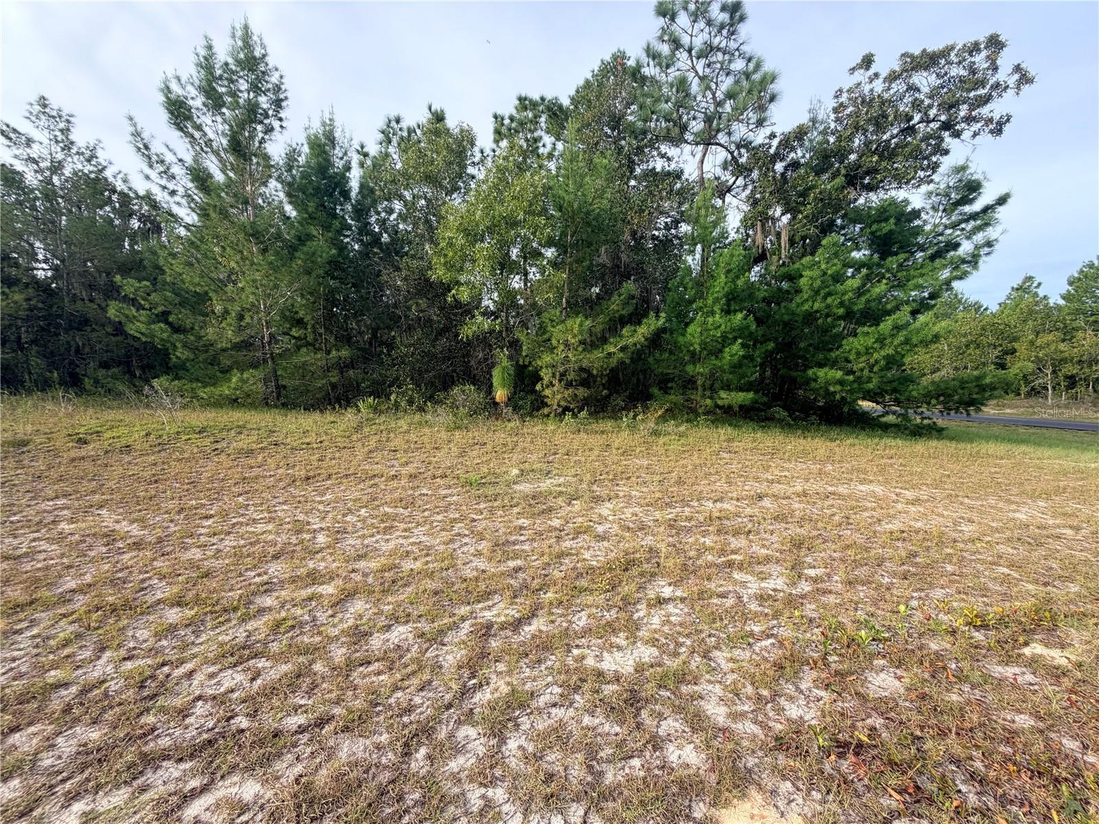 0 SW 139TH PLACE ROAD